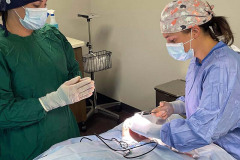 ccv-csurgery3