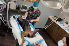 ccvc-surgery1