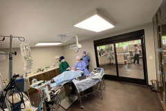 ccvc-surgery4