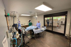ccvc-surgery5