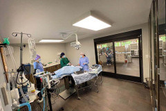 ccvc-surgery6