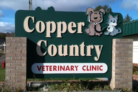 Has Your Pet Had a Preventive Care Exam Lately?